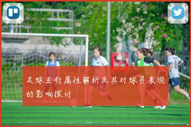 足球五行属性解析及其对球员表现的影响探讨