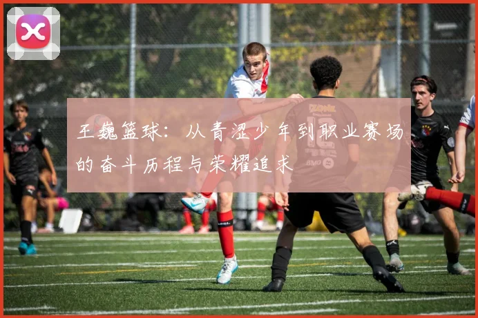 王巍篮球：从青涩少年到职业赛场的奋斗历程与荣耀追求