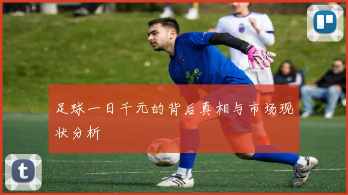 足球一日千元的背后真相与市场现状分析