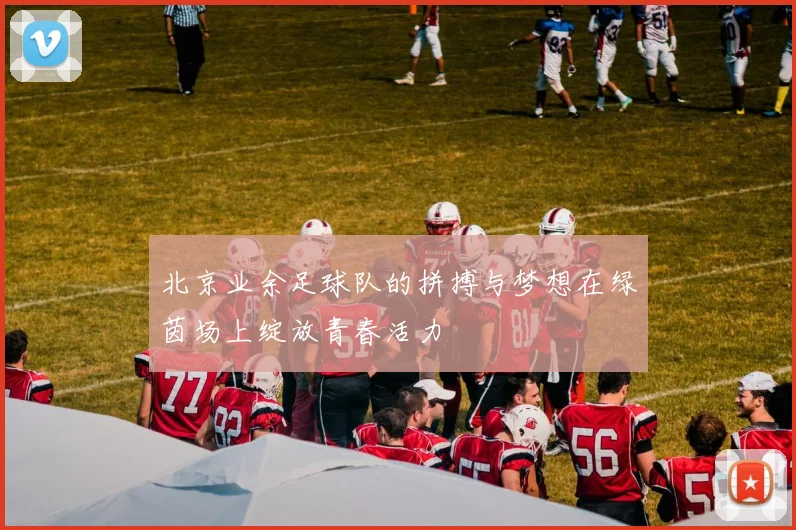 北京业余足球队的拼搏与梦想在绿茵场上绽放青春活力