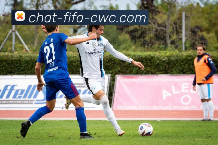 线上买球品牌故事